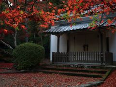 7：30　胡宮神社（このみやじんじゃ）

紅葉は木によってまちまち。
裏参道側は散り盛ん、境内は散り見頃、表参道側の石段は色付き半ば。


拝観料　無料（志は収納箱へ）
駐車場　無料