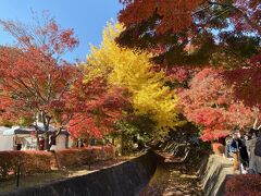 一番楽しみにしていた、河口湖もみじ祭りにやってきました。

もみじ回廊を中心とした、富士河口湖の紅葉まつり。時間は毎日午前9時から午後7時まで、夜にはライトアップもされるそうです。
駐車場に車を止め、そこからガイドさんに先導されながら10分弱歩いて会場に行きます。道中には、お祭りの屋台のような感じで、飲食店がたくさん出店されていました。

個人の場合は入り口で検温と体調チェックシートの記入が必要とのことですが、今回は団体のため記入は不要でした。

入り口を通過すると、この眺め。きれい！紅葉、いい感じに色付いてました。
写真右側に見えますが、大混雑です…