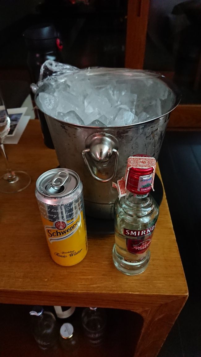 ワイン1本じゃ足りない私は、どうしても外に行くのが面倒だから、ミニバーにあったウォッカを。<br />氷もてんこ盛りで持ってきてくれました。<br />氷は無料。