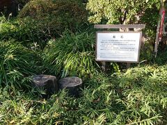 「日比谷公園の松石」です。