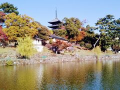 池のほとりの紅葉が鮮やかである。興福寺の五重塔が良いアクセントになっている。