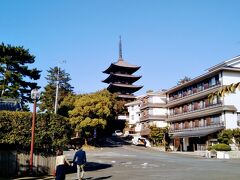 興福寺へ向かう。青い空を背景に五重塔の姿が美しい。