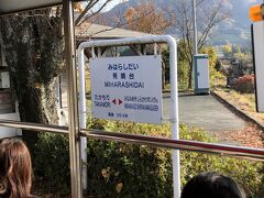 見晴台に到着。ここは午後の紅茶のCMに使われた駅だそうで、自販機は全部午後の紅茶だそうです。