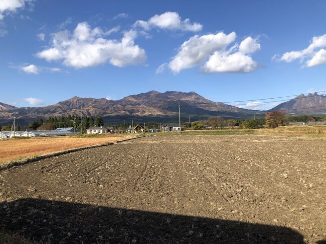 トロッコ列車に乗っている車掌さんが細かく説明してくれます。