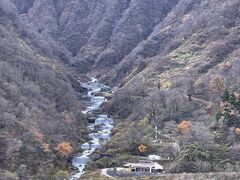 とちの湯

此方も地元人のお勧め
車で行けるので日帰り入浴も良いかもね
(めちゃ猿が居ると）
