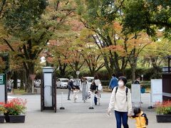 鴨川を渡り、植物園に入る。今日は日曜日だが、比較的すいている。家族連れもぽつぽついる。大正１３年（1924年）開園、日本最古の総合植物園という。