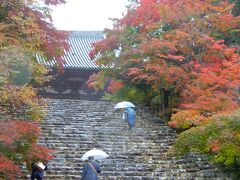 雨は降り続いている。これまで何回かきているが、神護寺の階段がこんなに厳しいとは思わなかった。途中茶店が２軒あったが、我慢して上った。ところどころ紅葉していた。