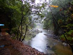 神護寺からどうするか決めていなかった。私としては、嵯峨野まで歩きたかったが、この雨でハイキングコースを歩くのも厳しいとしばらく迷っていた。神護寺のふもとのホテルの喫茶室でコーヒーとトーストを食べたら大分元気になり、清滝まで４．１㎞を歩くことにした。
