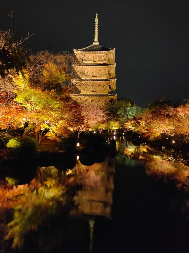 Gotoトラベル第二弾 紅葉の京都 2日目 京都駅周辺 京都 の旅行記 ブログ By Jalan Jalanさん フォートラベル Gotoトラベル第二弾 紅葉の京都 2日目 京都駅周辺 京都 の旅行記 ブログ By Jalan Jalanさん フォートラベル