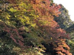 最後は知恩院へ。紅葉はあんまりなかったな。