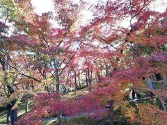 箱根登山鉄道に乗り沿線の紅葉を楽しみ、終点の強羅駅到着。
ごった返していました！

ケーブルカーを乗り継いで箱根美術館に来ました。

入場券を買うのも行列です(*_*;