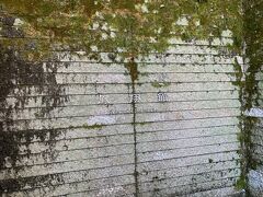 ミュージアムに来ました