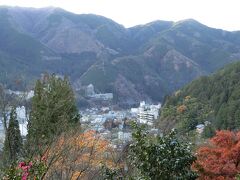 紅葉はもうおしまいでした。

合掌造りの建物には目もくれず山を登り･･･