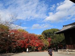 さてお次は蹴上インクラインから歩いて少しのところにある
南禅寺に寄り道

ここは参拝料なしで大体を見学することができます

鮮やかな紅葉がすごかった！