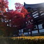 紅葉を満喫！秋の京都旅①