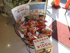 初めに伊根湾へ。

カモメのエサを船着き場で売っていますが、これが
なんとかっぱえびせんの小袋。

塩分は大丈夫なのかな？

結構、たくさんの人が買っていました。