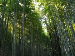 天龍寺の北門を抜けて少し歩くと最近はインスタ映えで有名な「竹林の道」。ここはさすがに人が多い。