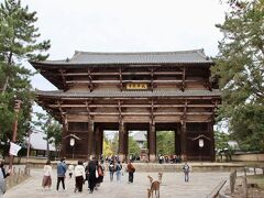 東大寺
奈良時代に聖武天皇が国力を尽くして建立した寺です。