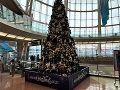 羽田空港2階出発ロビーです。
クリスマスツリー。とても綺麗でした。