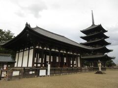 興福寺・五重塔と東金堂
高さ約50m、日本で2番目に高い国宝の五重塔です。5度の消失に遭い、現在の塔は600年ほど前に再建されたものですが、奈良をアピールするポスターや観光雑誌の表紙を飾ることが多い奈良を象徴する五重塔です。
東金堂は今から600年ほど前に再建された国宝の堂宇です。堂内には平安時代初めから鎌倉時代にかけて造られた国宝や重要文化財の仏像が数多く安置されていました。薄暗く、お香の香りが漂う中、外の喧騒から逃れ、心休まる時間を過ごすことができました。