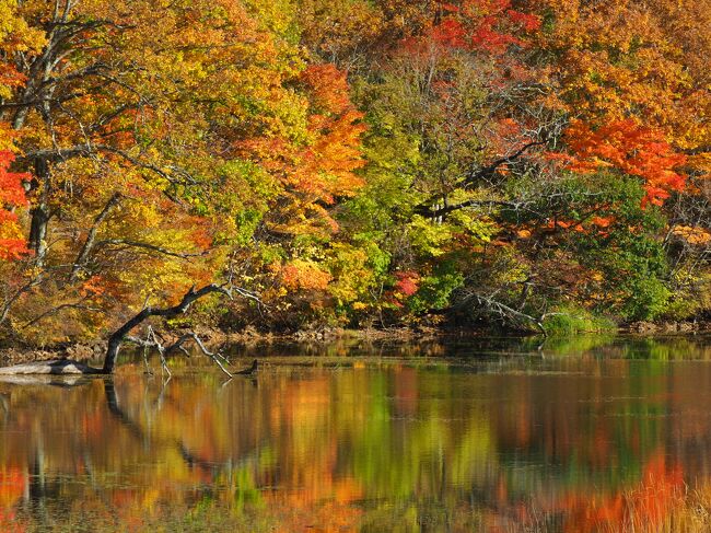 会津 裏磐梯 絶景 紅葉の旅 1 塔のへつりと観音沼で紅葉三昧 会津若松 福島県 の旅行記 ブログ By クッシーさん フォートラベル 会津 裏磐梯 絶景 紅葉の旅 1 塔のへつりと観音沼で紅葉三昧 会津若松 福島県 の旅行記 ブログ By クッシーさん フォートラベル