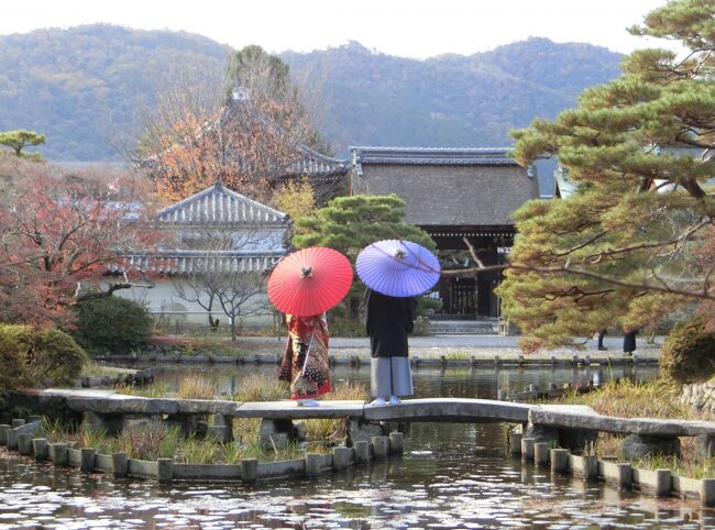 コロナで結婚式が延期になり、せめて紅葉の京都での前撮りとなりました。<br />お天気に恵まれてよかった。