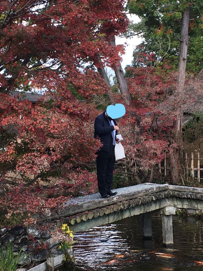 中には立派な庭園があり、入苑料を払うと鯉の餌がもらえました。<br />鯉と戯れる旦那様・・