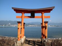 厳島神社の大鳥居が改修中なため、長浜神社の鳥居へ