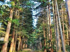 福井県-19　勝山市b　平泉寺白山神社　　　　61/　　　39