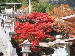 阿夫利神社で降りて少し歩くと、素晴らしい紅葉！！