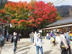 この紅葉も美しい
右のお店は「ルーメソ」で有名なんですって
「ルーめん」と思ってましたが「ルーめそ」が正解とのこと