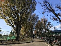 野毛町公園でダイチャリ借りて