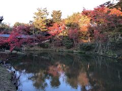 臥龍池に映える紅葉。庭の美しさに関心します。