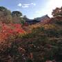 GoTo京都　紅葉づくし　2/2　東福寺～嵐山～錦市場