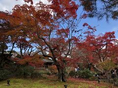 ここは秋に来るべきですね。最初入るかどうか少し迷いましたが、入って良かったです。