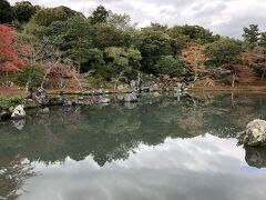 次は天龍寺に入ります。ここは大きな池と庭が見事です。