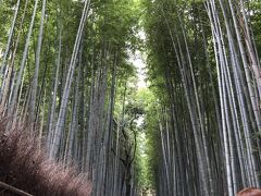 竹林の小道です。ここも昨年来たのですが、今年はインバウンドが少ないからか観光客は少なめでした。