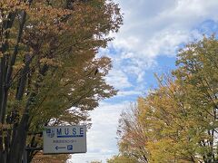 文化センターミューズの側の駐車場に入れて