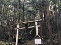 名古屋から車で1時間
苗木城跡資料館でボランティアガイドさんと待ち合わせ

神社

仏教を廃止し神教のみにした。