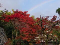 早朝、嵐山を散策した時に見えた紅葉と虹