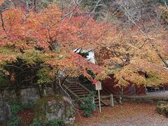 法輪寺の紅葉