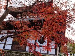 東福寺のお寺と紅葉