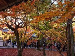 東福寺の庭の紅葉