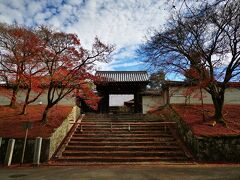 到着。
紅葉のワビサビ。