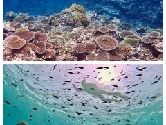 #2 ボートシュノーケルでの景色（伊良部島）
☆佐良浜漁協北東沖（地図S2）
珊瑚が復活しつつありますヨ。