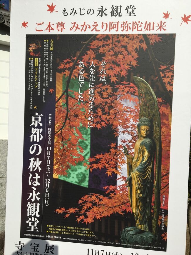 凄い 京都の紅葉 もみじの永観堂 南禅寺はこの次に 京都駅周辺 京都 の旅行記 ブログ By 夏子の探検さん フォートラベル