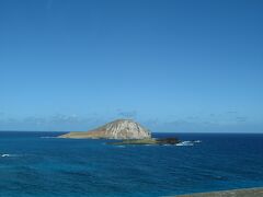 ハロナブローホールを過ぎマカプウルックアウトからマナナアイランド（通称ラビット島）を眺望した。