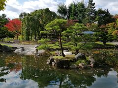朝食後に、ホテル近くの中島公園を散策。

外国人観光客が喜びそうな見事な日本庭園では、紅葉が始まっていました。