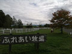 札幌から3時間で、美瑛町のファームズ千代田に到着。
駐車場＆動物とのふれあいは無料、体験は有料です。