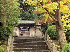 同じく根津神社摂末社の駒込稲荷神社
西口から入ってすぐのところにあります。



数日にわたって、気ままに取材したご近所での「もみじ狩り」
「支離滅裂のきらいあり」(^-^;ですが、最後までお読み頂きまして、誠にありがとうございました。

いつもご訪問頂きありがとうございます。

　　　　　　　　　　　　　　　　　　　　・・・☆紅映☆・・・


